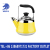 Stainless Steel Rich Pot Color Electromagnetic Special Kettle with Leakage Kettle and Kettle