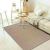 Simple carpet door mat 80/120 floor mat