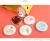 Cute succulent girl make up mirror portable magnifier PU leather small round mirror