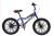 Bicycle buggies children ride outdoors on heavy tires of good quality dual disc brakes