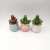 Creative fashion gifts, ceramic plastic imitation meat flowers in the boutique