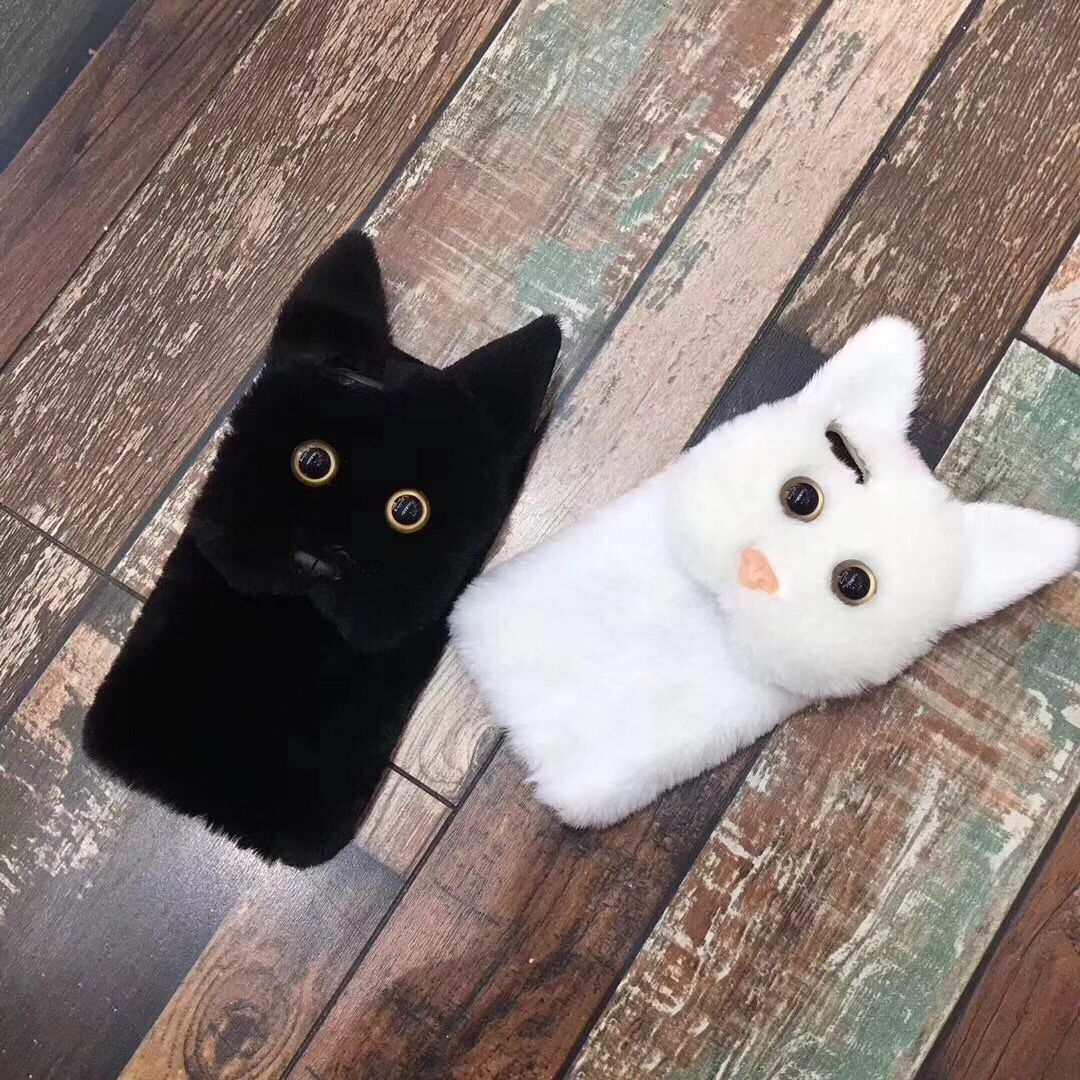 毛兔猫咪