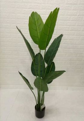 Simulated Nordic plantain