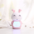 New super rabbit humidifier USB desktop car seven color night light mini humidifier