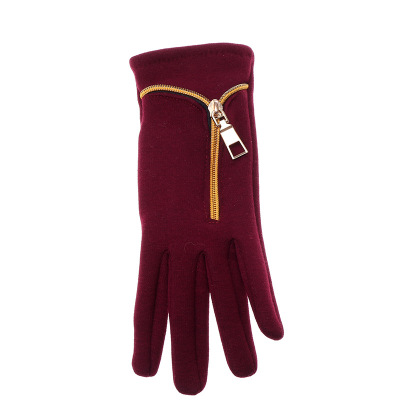 Korean Style Women's Non-Inverted Velvet Warm Autumn and Winter Gloves Simple Zipper Design Hand Repair Women's Gloves