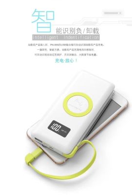 Portable Wireless Power Bank