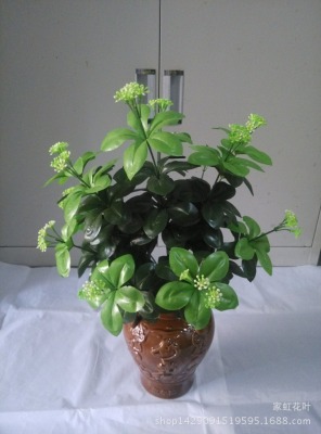 Leaves of 12 rhododendrons, 12 Holly leaves, 12 orange leaves, orange leaves, two-tone orange leaves, and a bunchl