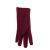 Korean Style Women's Non-Inverted Velvet Warm Autumn and Winter Gloves Simple Zipper Design Hand Repair Women's Gloves