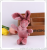 Cartoon toy Korean rabbit key bag and tie on wedding ceremony throw cloth doll doll small doll plush toy
