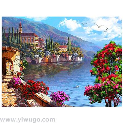 DIY Digital Oil Painting New Russian Decorative Painting 4050 Framed Frameless