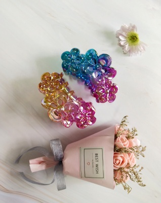 Manufacturers direct sales 9 cm PS material new beautiful multi-color grasp clip with trend fashion