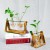 Creative wooden stand aquatics container, glass flower vase, living room, flask, office desk decoration and decoration