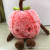 Yiwu manufacturer direct sale 2018 new cherry apple plush watermelon dolls holding pillow special dolls