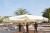 5*5M outdoor parasol oversize imperial parasol area rest parasol yard parasol