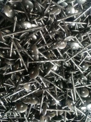 Galvanized Roofing Nail, Common Nail