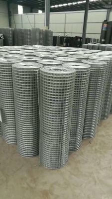 Plastic-Coated Welded Wire Mesh Cold Hot Dip Galvanized Welding Mesh