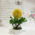 Mini simulated potted plant