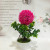 Mini simulated potted plant