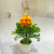 Mini simulated potted plant