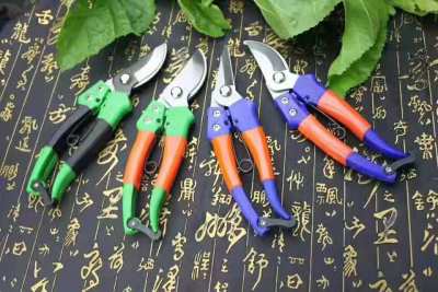 Scissors flower cutting garden cutting