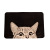 Nordic Ins Pink Girl Style American Carpet Cat Bathroom Non-Slip Bedroom Door Children's Floor Mat