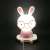 Boutique Creative Fashion Gift LED Lighting Small Night Lamp Eye-Protection Lamp