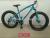 MIKEE 21 speed bicycle snowmobile mountain bike tianjin delivery OPP fat tire packing