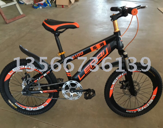 New mountain bike at $20 a speed