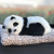Car decoration creative activated carbon simulation dog Car to remove formaldehyde to remove she interior decoration supplies Charlie dog