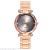New diamond-encrusted asymptotic lady's alloy steel fashion watch