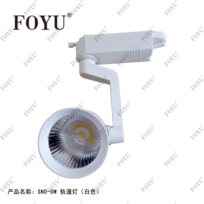 Foyu Shunjiu Lighting LED Track Light Spotlight