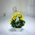 Miniature miniature bonsai flower potted plant manufacturers direct sales simulation flowers