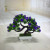 Miniature miniature bonsai flower potted plant manufacturers direct sales simulation flowers