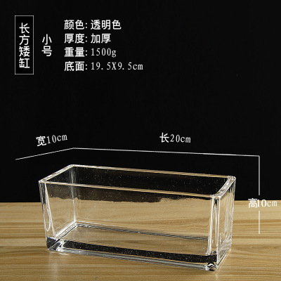 Aquaponics transparent crystal glass vase manufacturers direct wholesale suppress fashion ideas