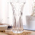 European-Style 30 Transparent Crystal Glass Vase 30cm High Living Room Decoration Hydroponic Flower Pot Pressed