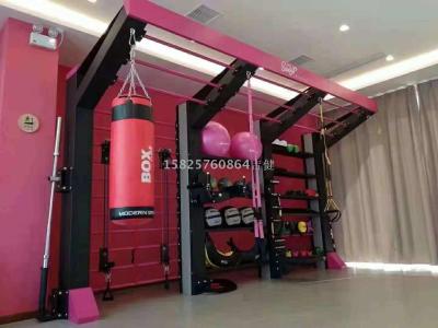 Special fitness equipment private teacher put shelves/multi-functional professional gym good quality