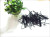 Make-up tray hairpin - medium black flat head hairpin black round head box hairpin 5.6cm