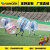 Bumball Guangzhou Custom outdoor PVC Bubble Football Touch ball fun sports prop