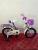 Bicycle 121416 female children bike with basket, rear seat