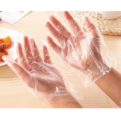 Wholesale Disposable Gloves PE Gloves Food Hygiene Beauty Salon Hotel Transparent Film Gloves 100 Pcs