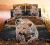 3D Four-Piece Six-Piece Bedding Quilt Foreign Trade New Product