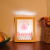 Creative LED inkjet Flamingo night light 3D bedside lamp USB pine frame small night light gift