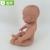 Solectron peak manufacturers direct plastic female baby