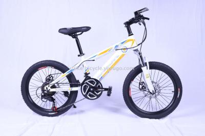 Bicycle 20 inches 21 speed high carbon steel shock absorption double disc brake mountain bike factory direct sale