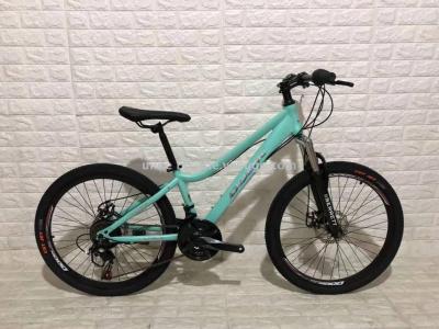 Bicycle 20 inches 21 - speed aluminum alloy new mountain bike factory direct sales