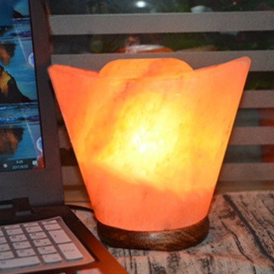 Crystal Salt Light Salt Lamps Decoration Ingot Rose Creative Small Night Lamp