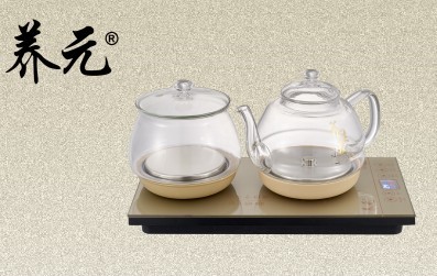 Dj-098 jinzhiyuye (electric tea stove) 1L