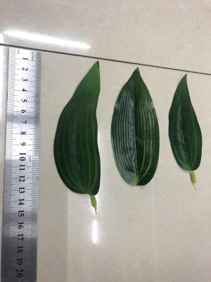 Single lily leaf high - grade single leaf large - medium - sized screen printing film simulation leaf