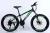 Bicycle 24 inches 21 - speed new mountain factory direct sales