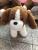 Doll bag plush station dog plush toy plush doll doll birthday present